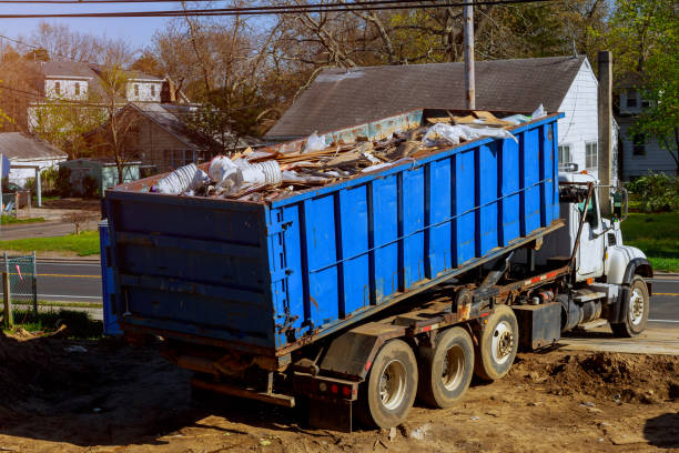 Yard Cleanup Services in New Market, VA