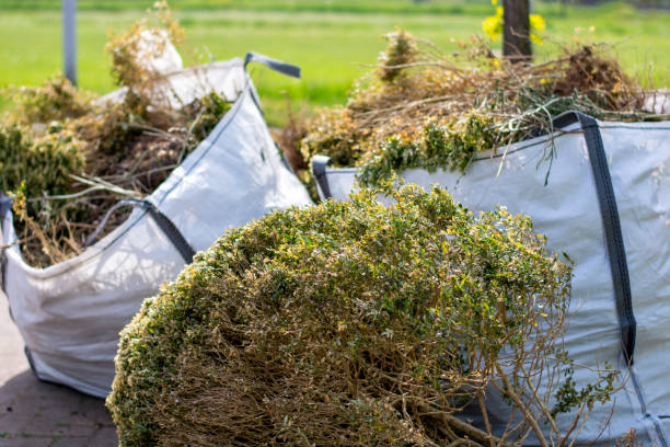 Best Yard Cleanup Services  in New Market, VA